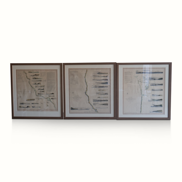 Late 19th C. Framed West Coast Geological Survey Maps